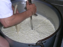 Fromage caillé