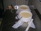 Fromages après égouttage